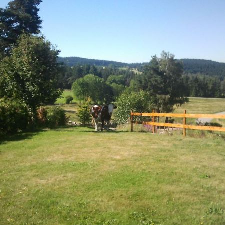 Ressourcez Vous En Pleine Nature! Saint-Regis-du-Coin Εξωτερικό φωτογραφία